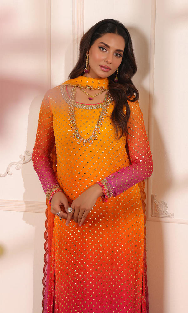 Nomi Ansari-NALP24-43